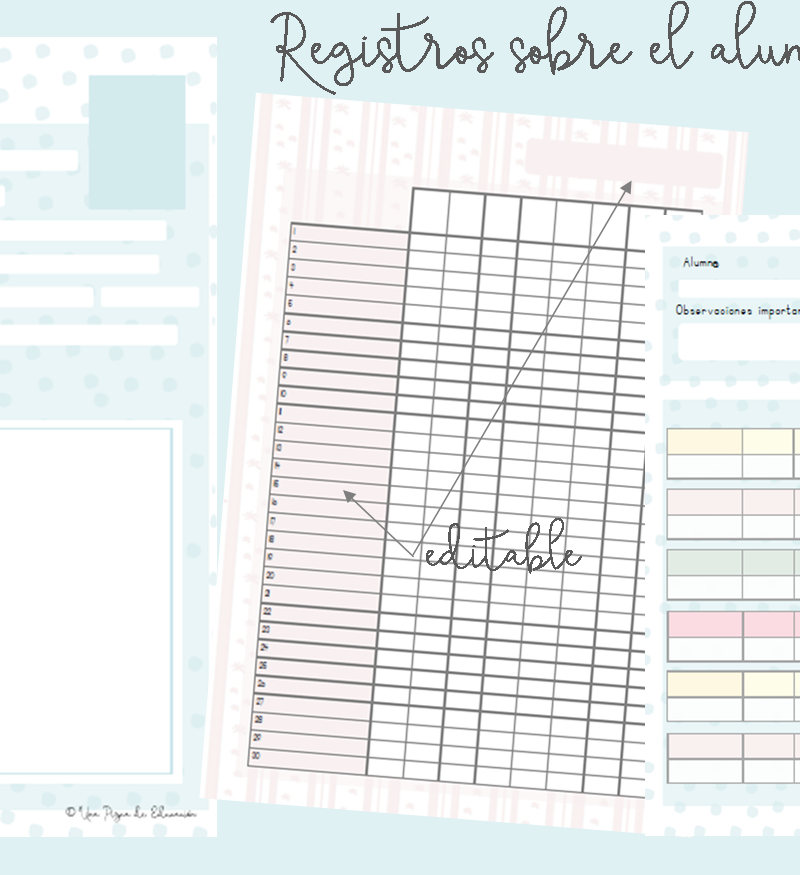 registro de evaluación