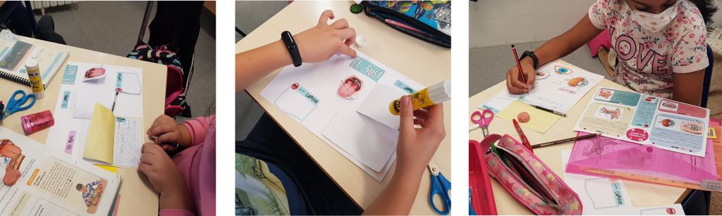 lapbook