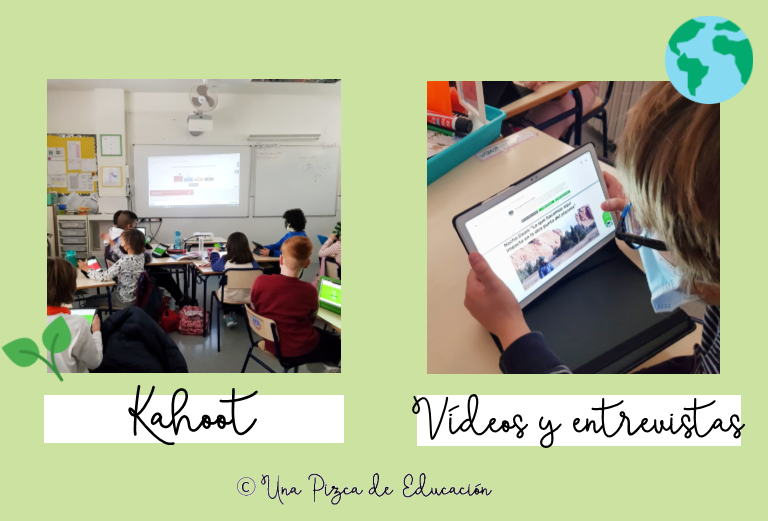 Proyecto Educación Ambiental