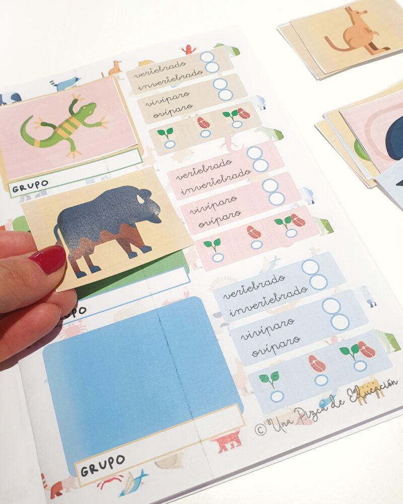 Kit animales - Imagen 4