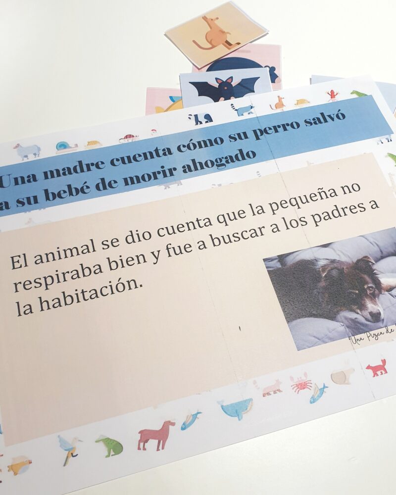 Kit animales - Imagen 5