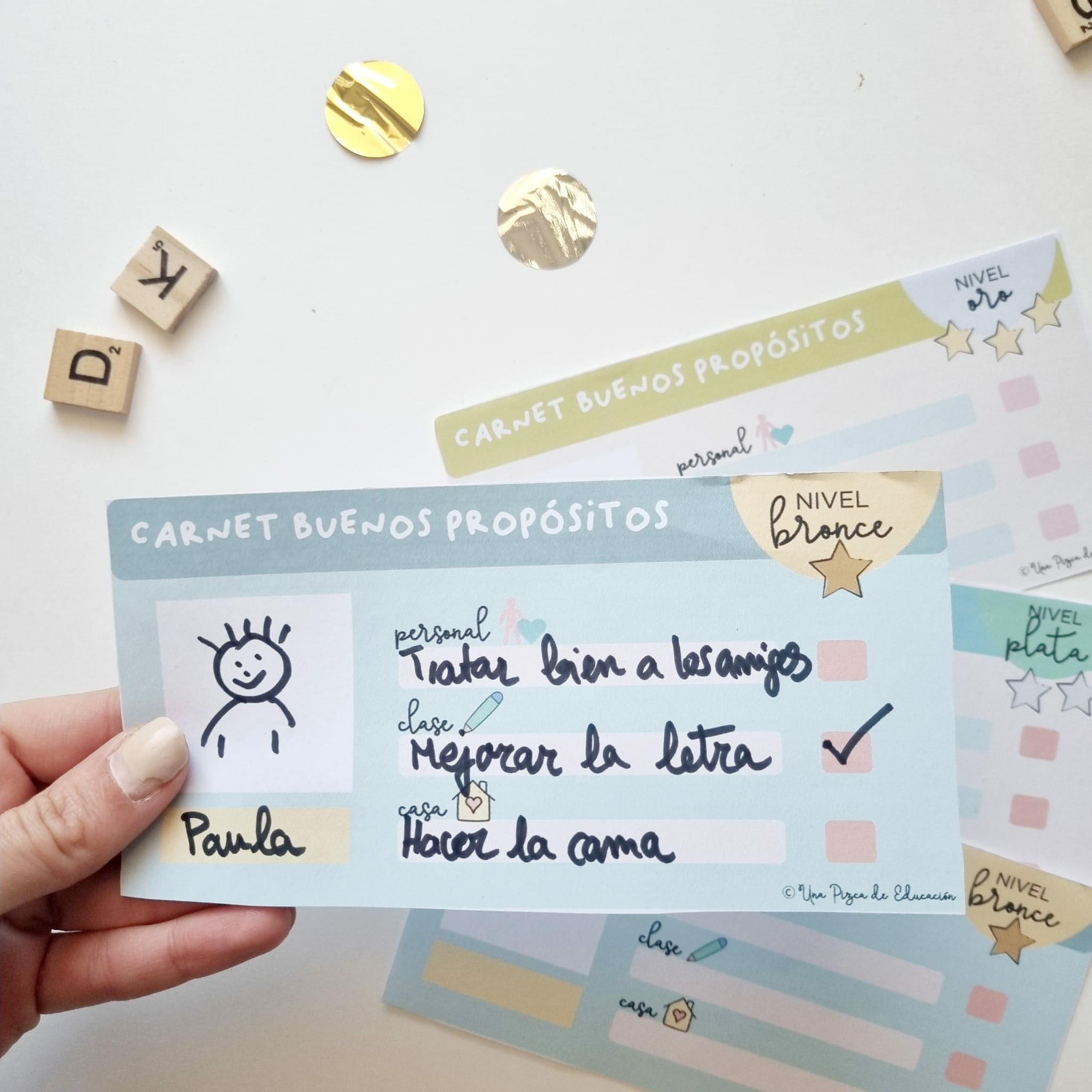 carnet buenos propósitos