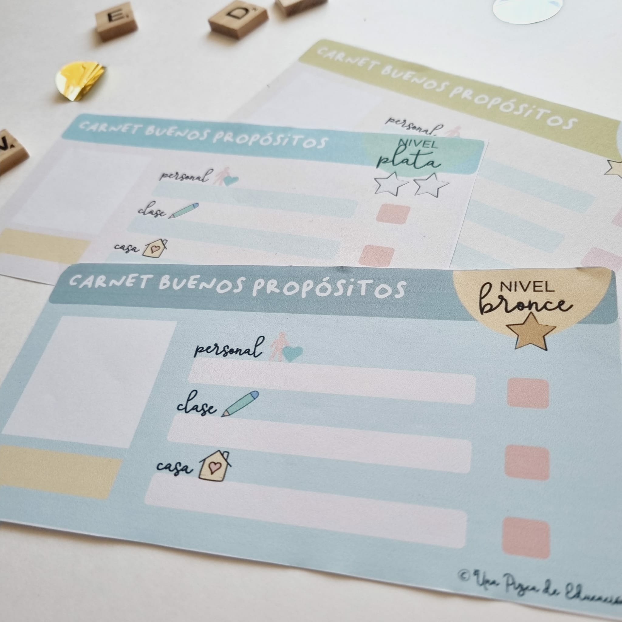 carnet buenos propósitos